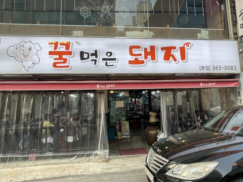꿀먹은돼지 이미지