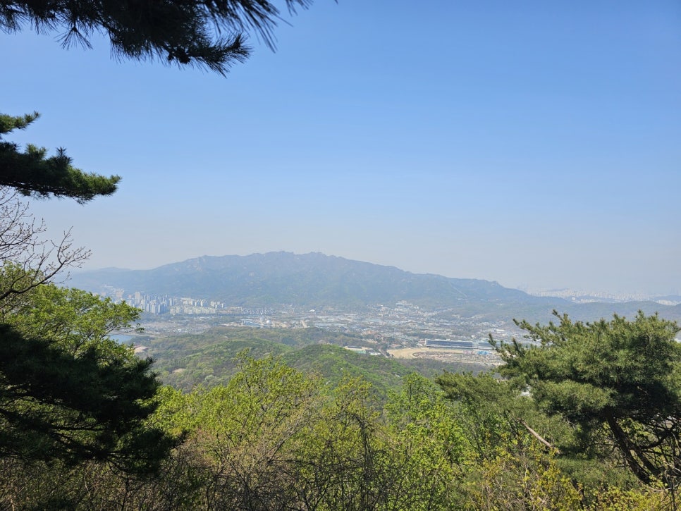면면집 이미지