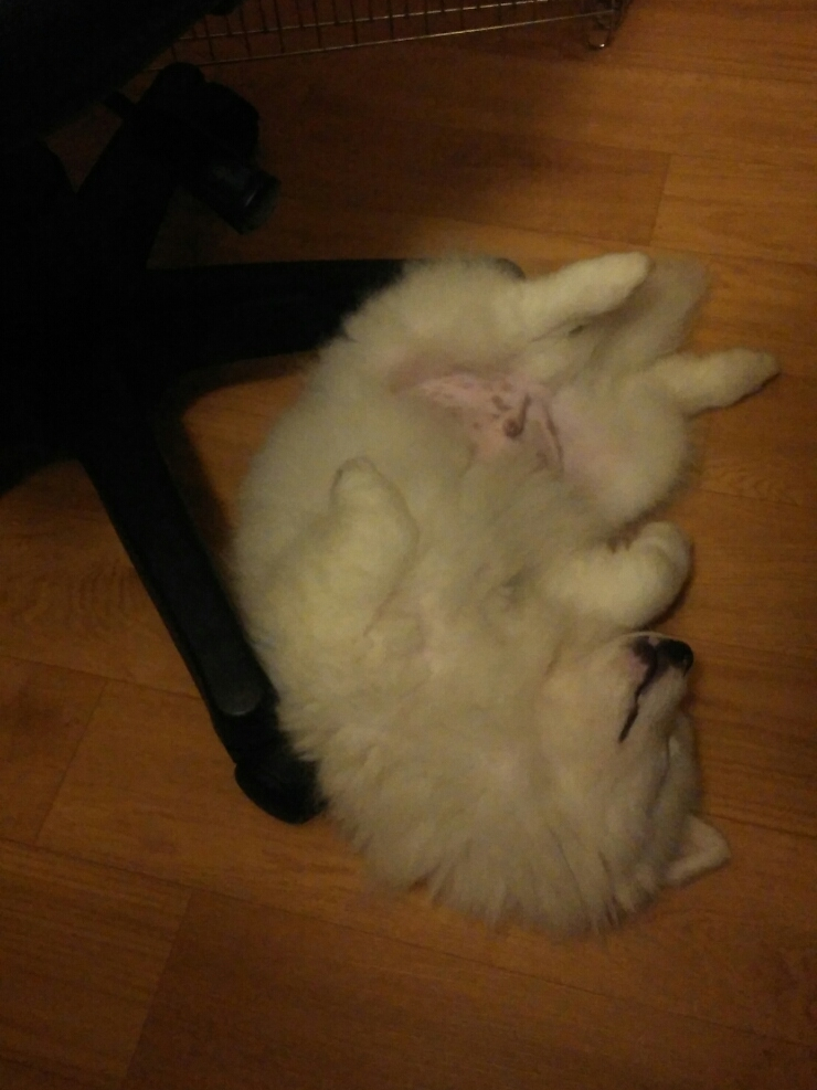올뉴마켓디자인 이미지