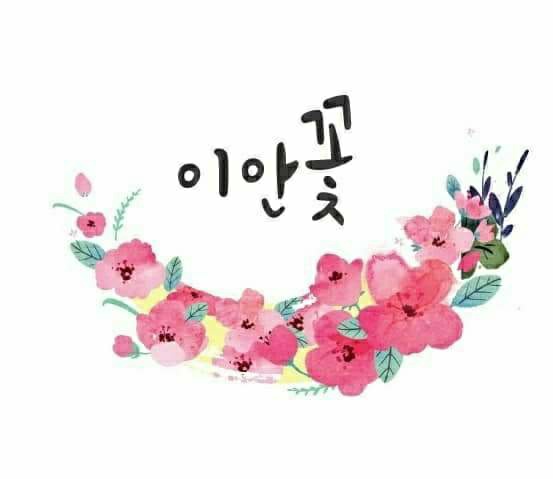 이안도매 이미지