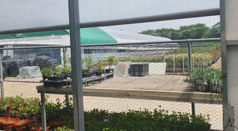 진해꽃식물원 이미지
