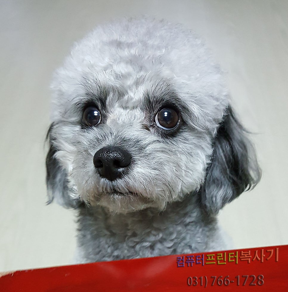 컴피아컴퓨터 이미지