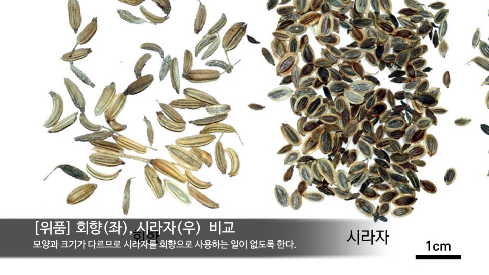 열매양품 이미지