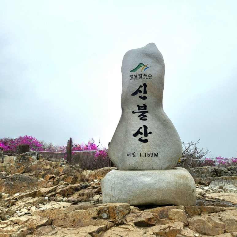 뷰코스 이미지