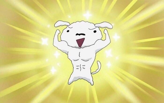 돼지당 이미지