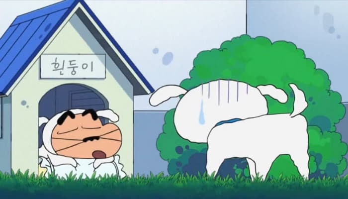 흰둥이 이미지