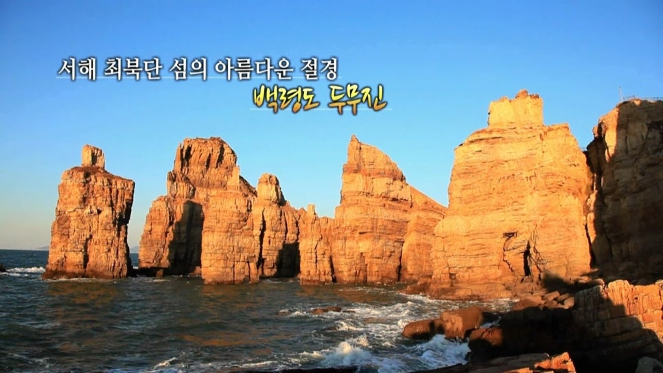수 자연 이미지