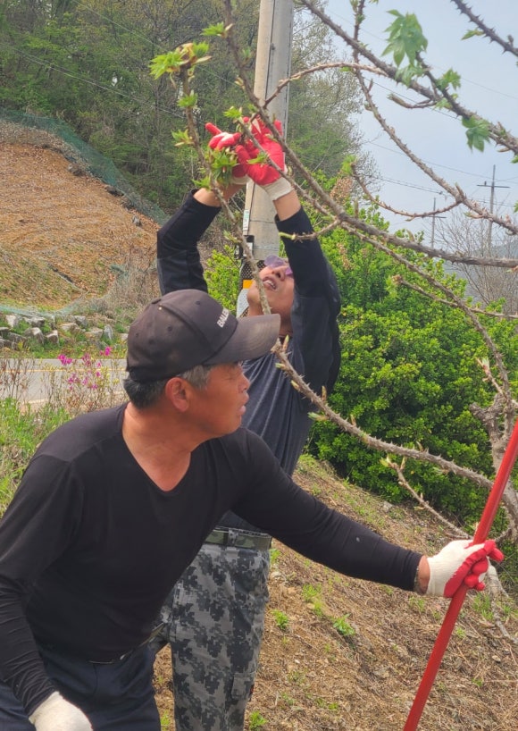 산골산내음 이미지
