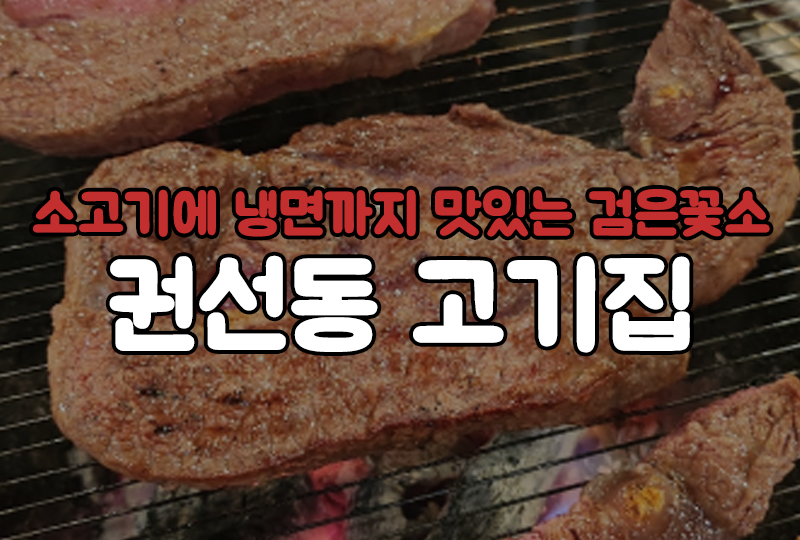 검은꽃소 이미지