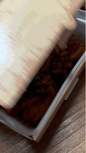 지코바 단양점 이미지