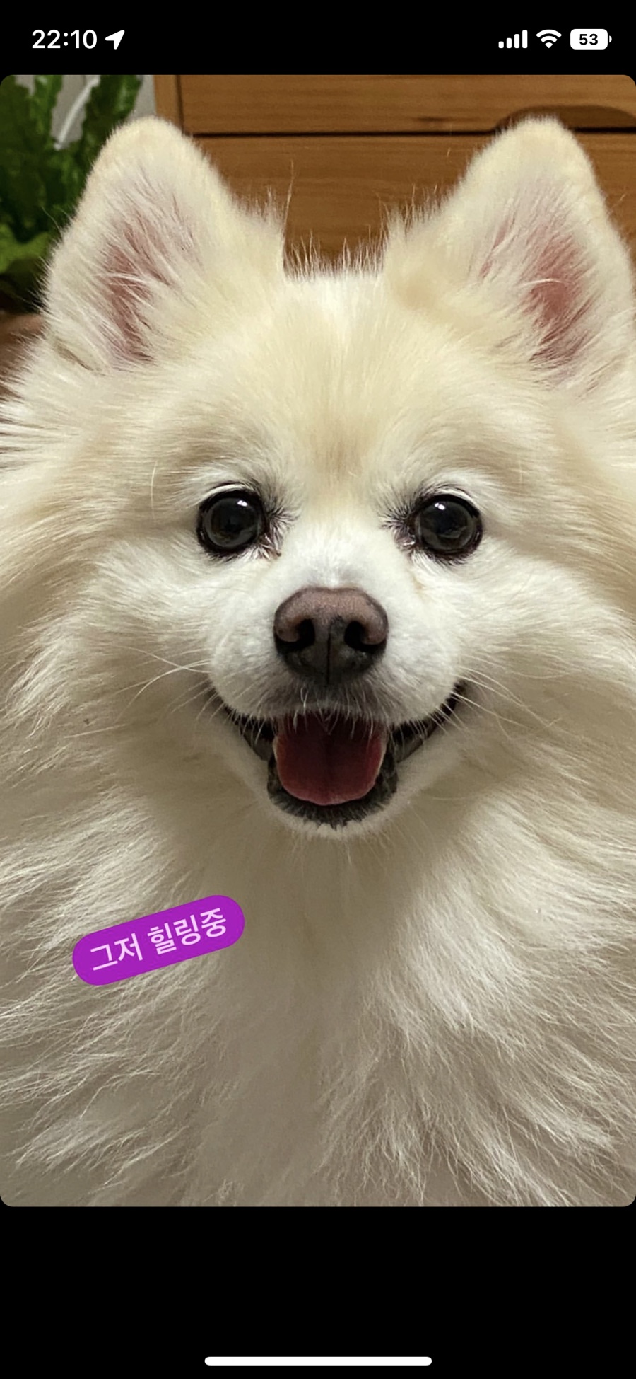 애플꼬마김밥진주 이미지