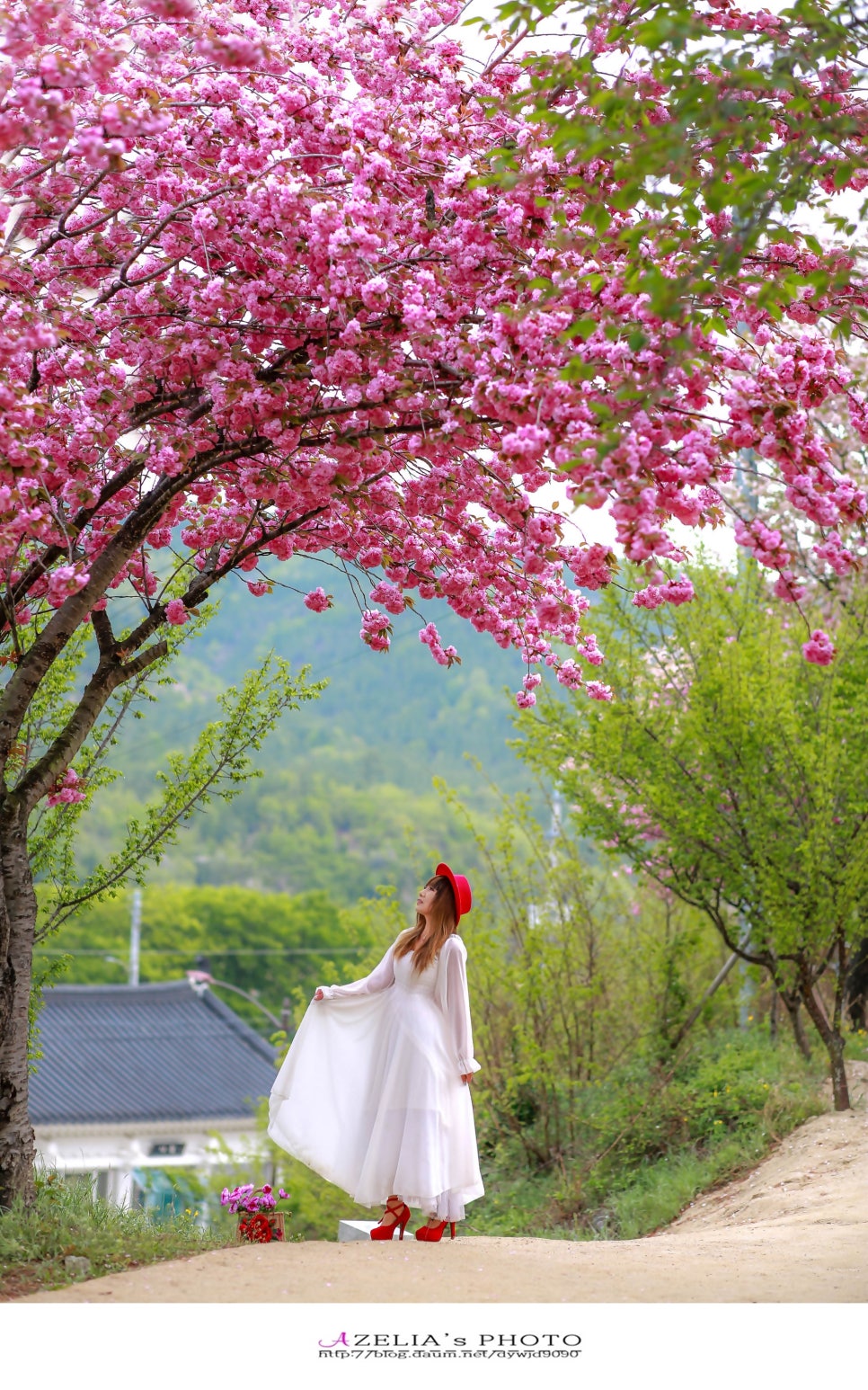 머리마을 이미지