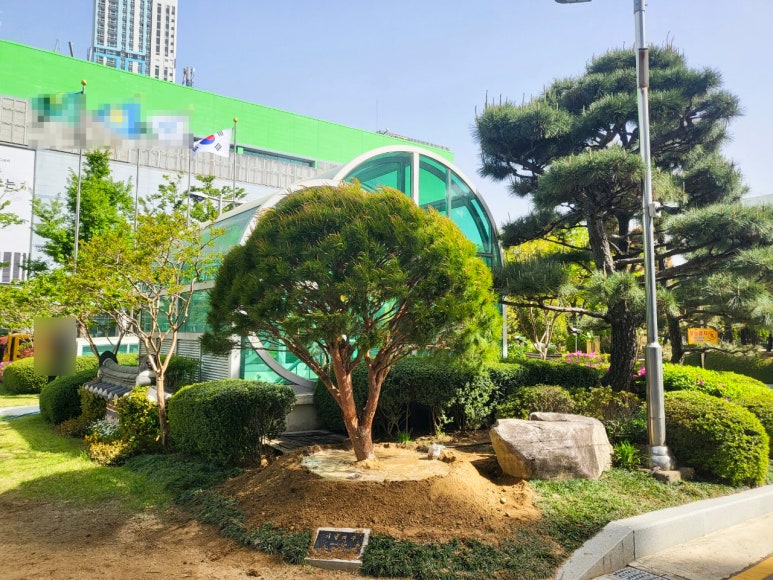 나무조경건설 이미지