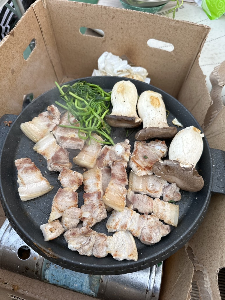 캠핑장어 이미지