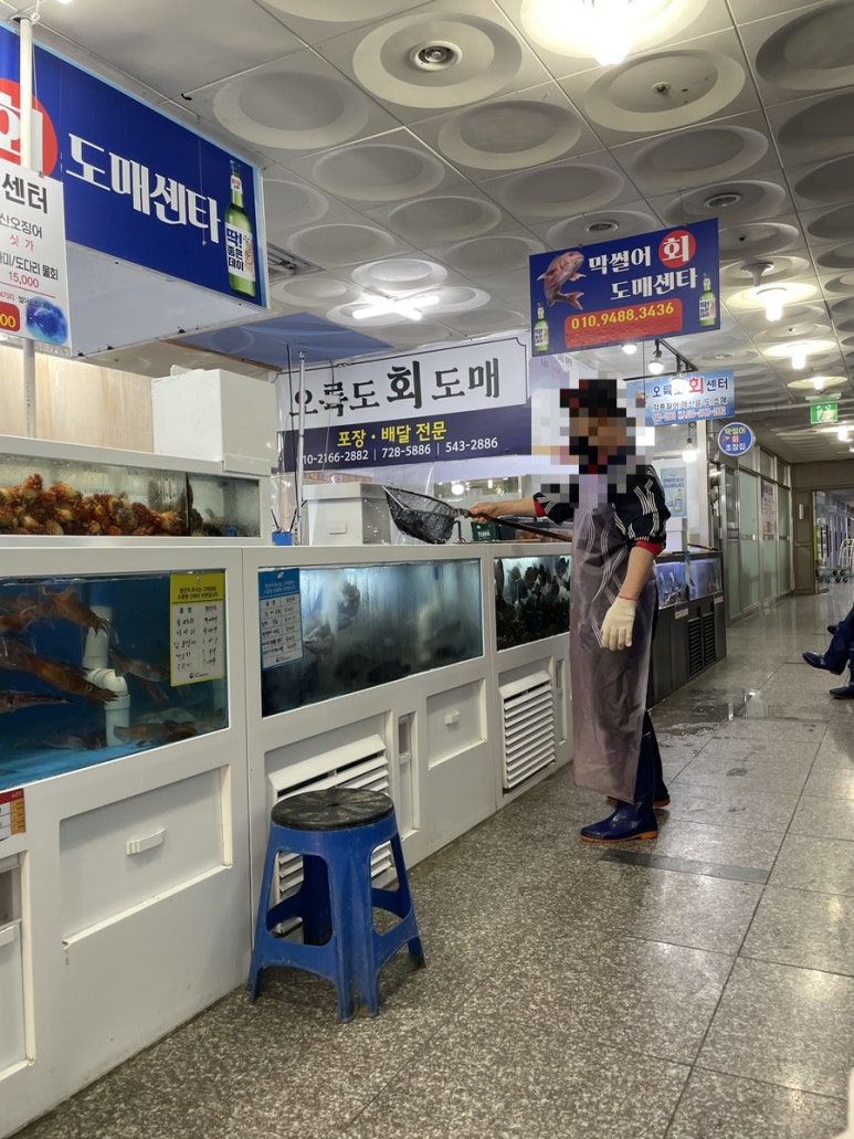 막썰어회도매센타 이미지