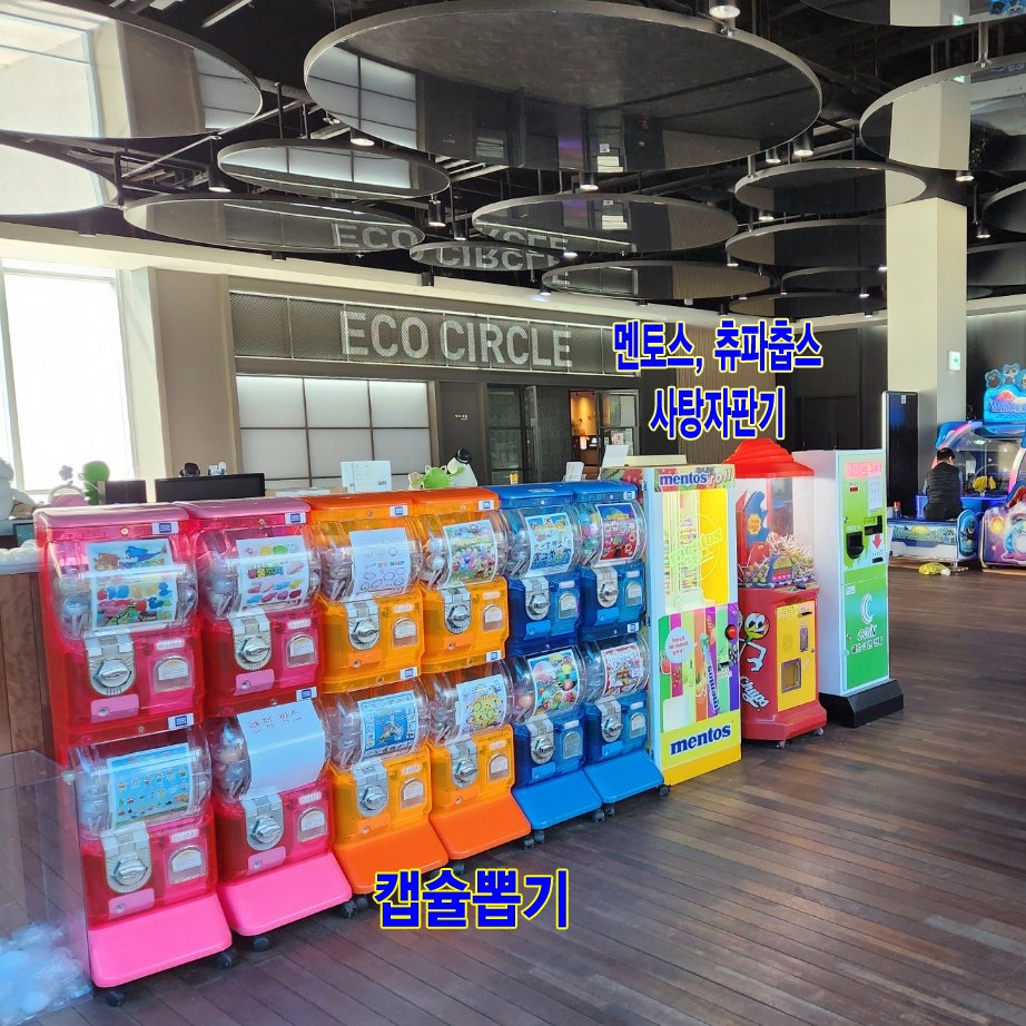 에코라인 이미지