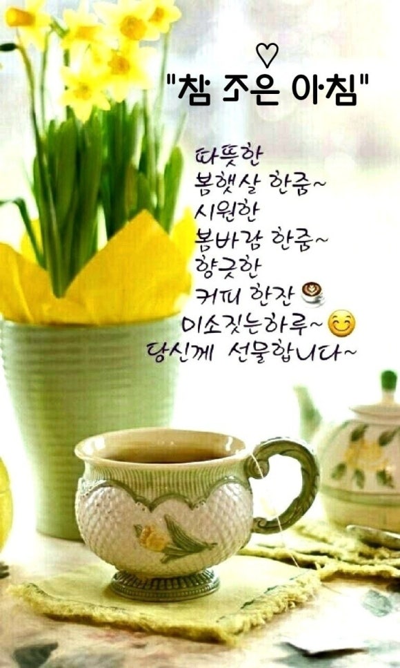 햇살한줌 이미지
