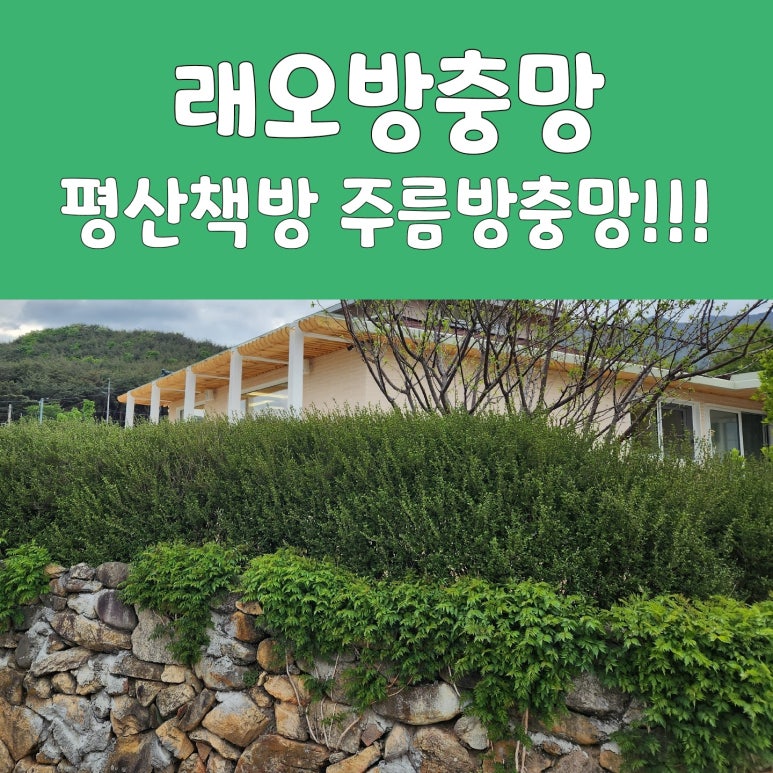 방충망대통령 이미지