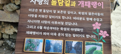 명화민박 이미지