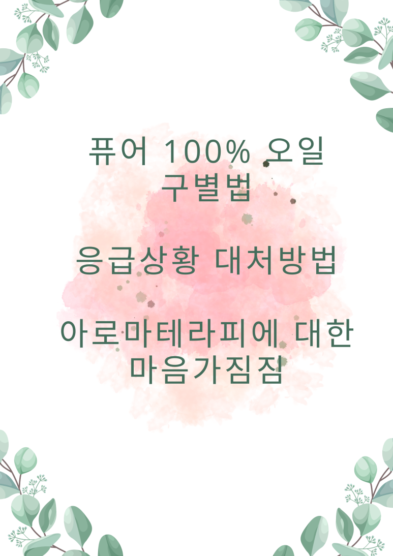 아로마트리;배움트리 이미지
