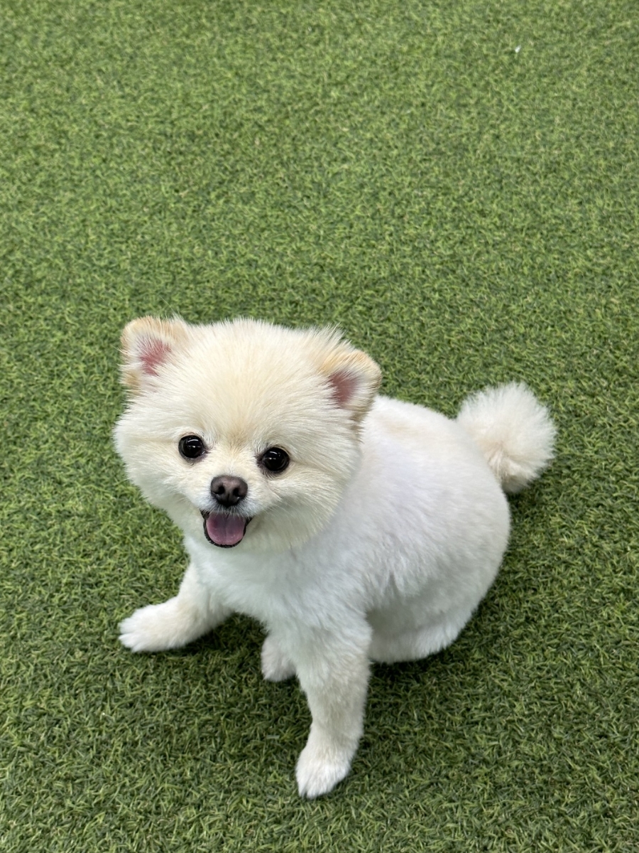 그린실내테니스 이미지