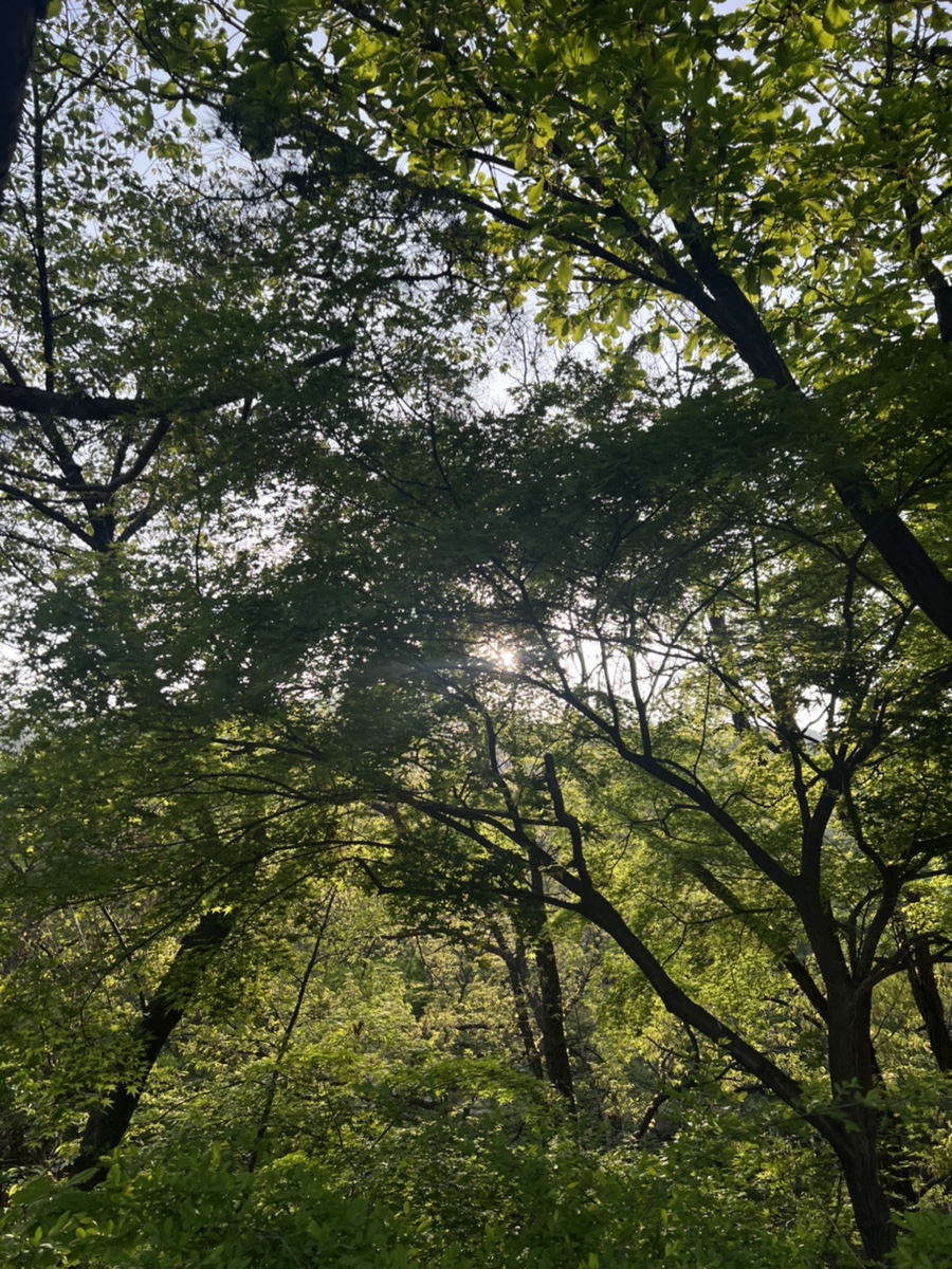 코코호도 서울대입구역점 사진 7