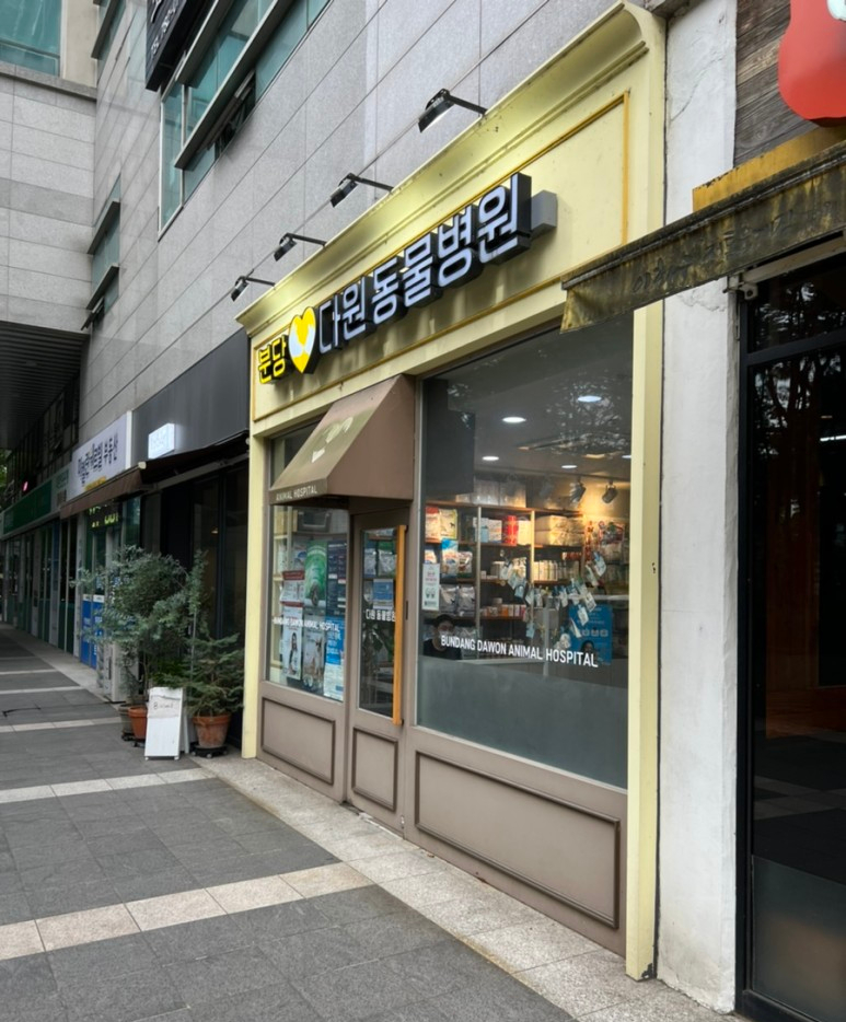 엘로ello 이미지