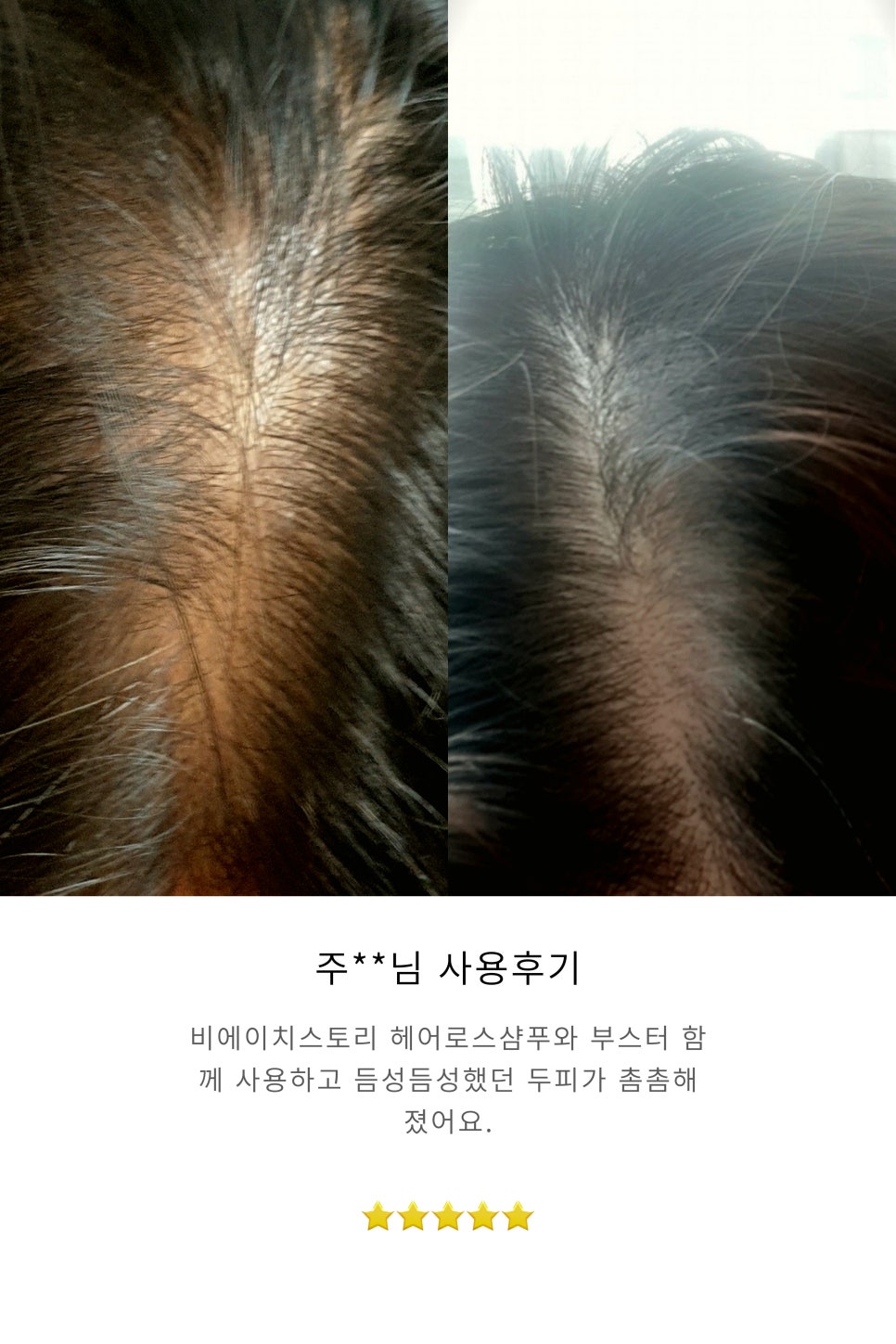 자연스토리 이미지