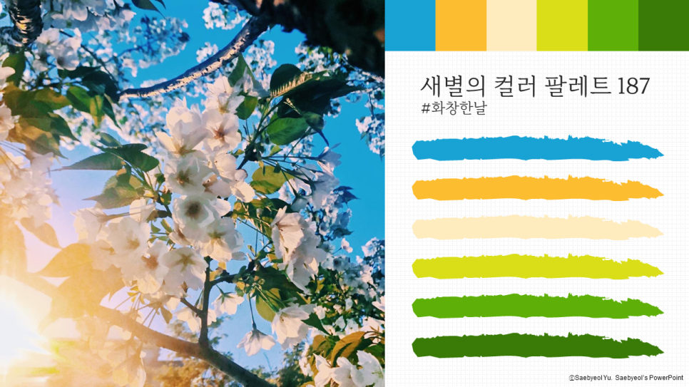 레오버넷(주) 이미지