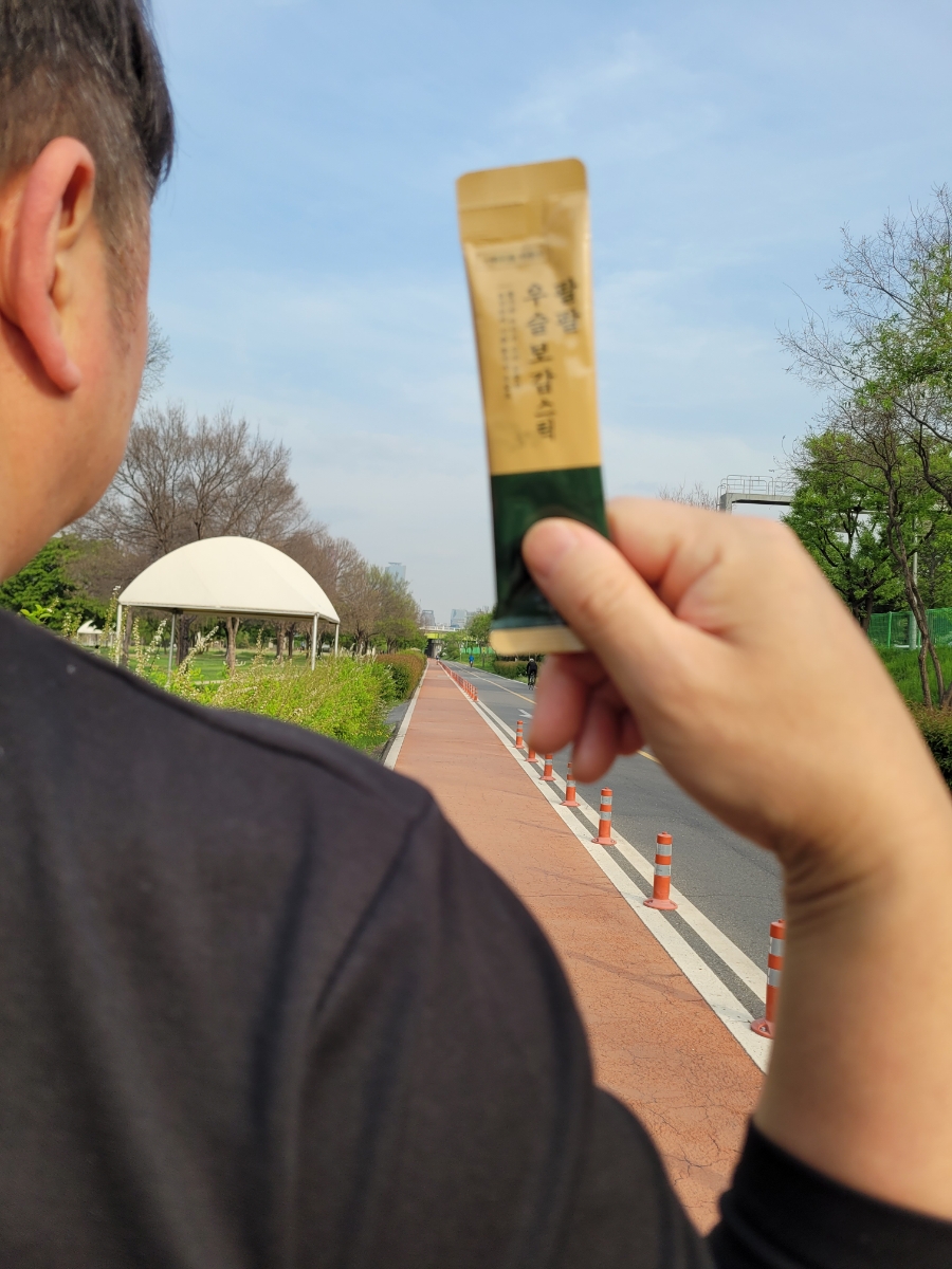 아리항 이미지