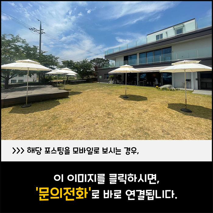 문동240 이미지