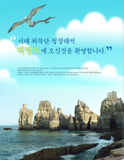 수 자연 이미지