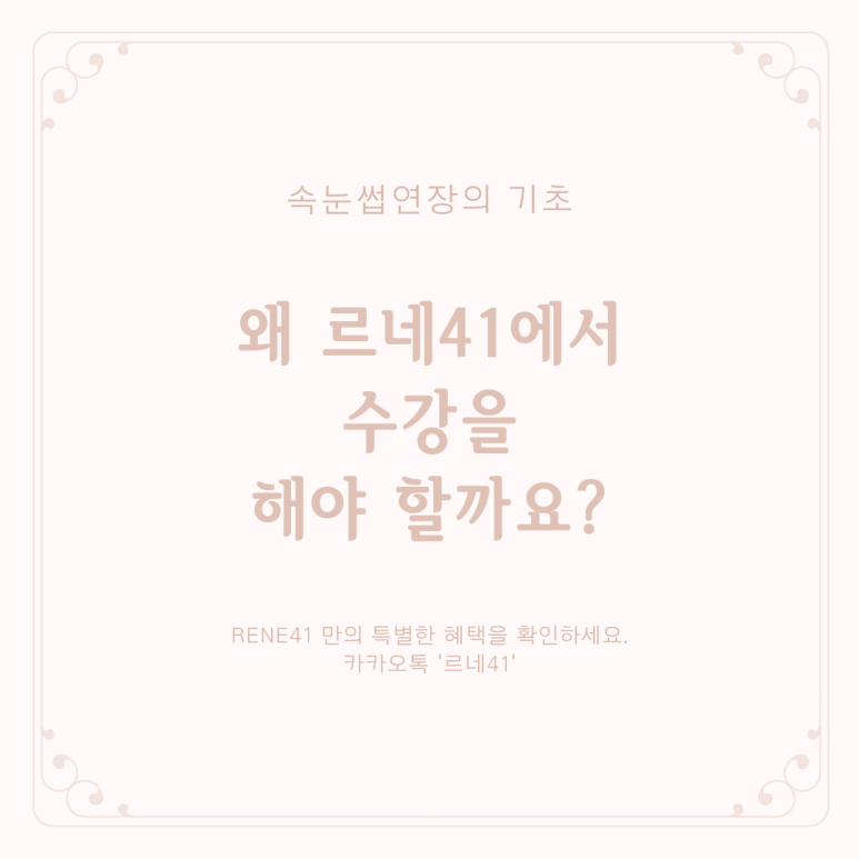 르네41 이미지