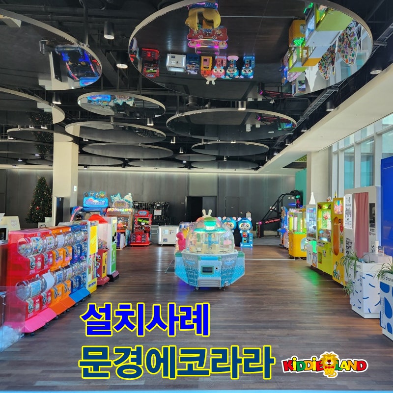 에코라인 이미지