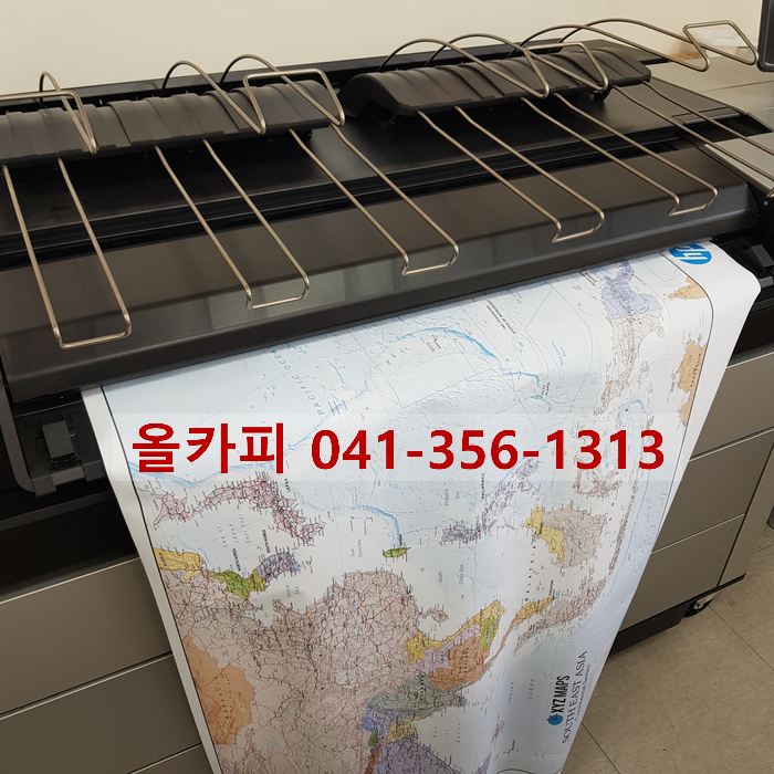 올카피 이미지