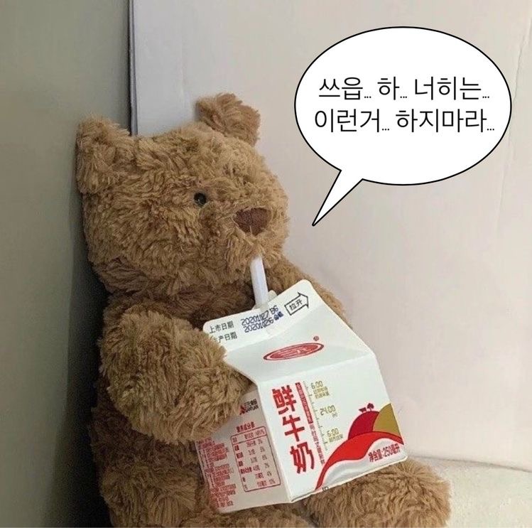 곰도리 이미지