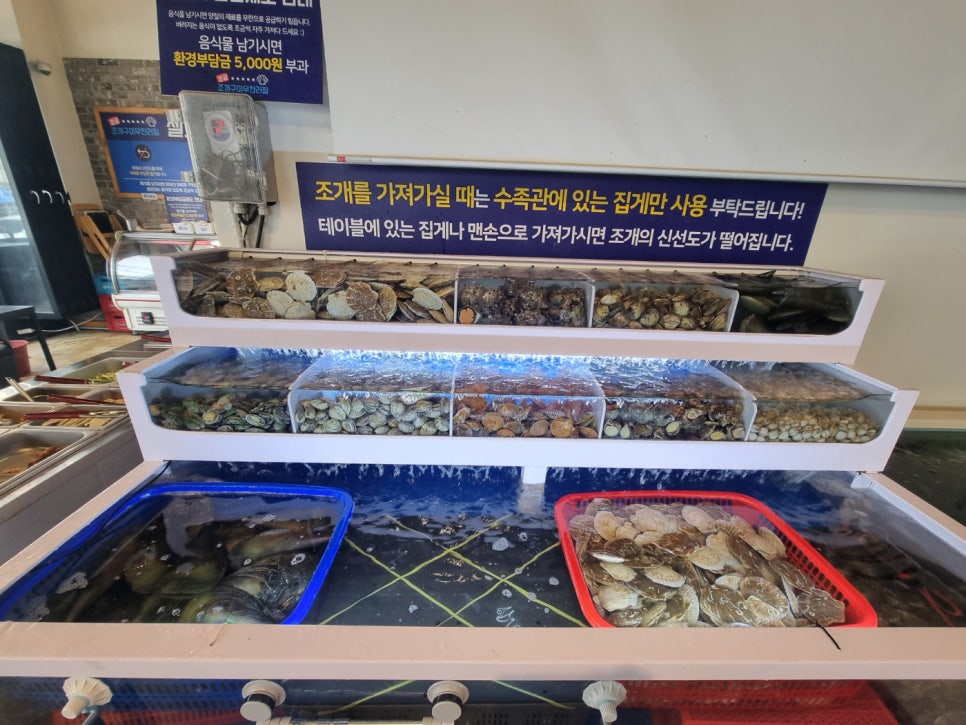 영광조개구이무한리필 이미지
