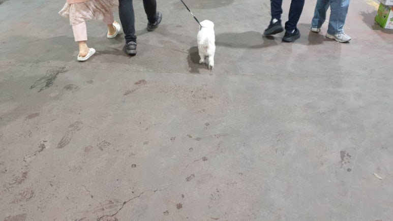 거북공판장 이미지