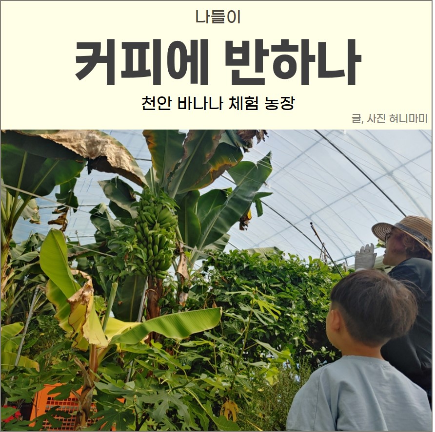 매일나무농장 이미지