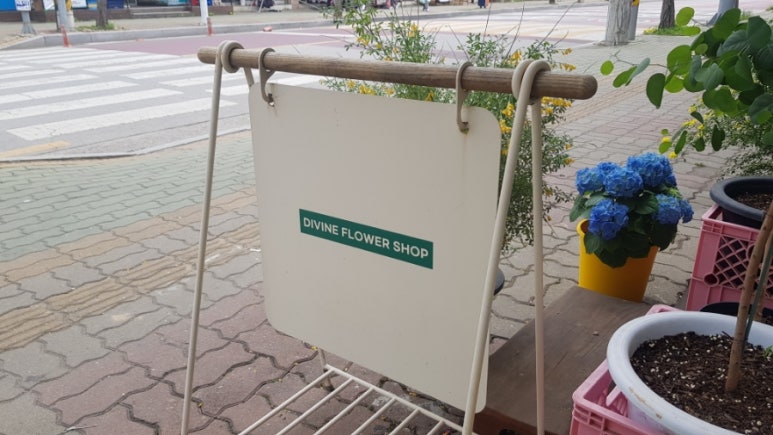 디바인플라워 이미지