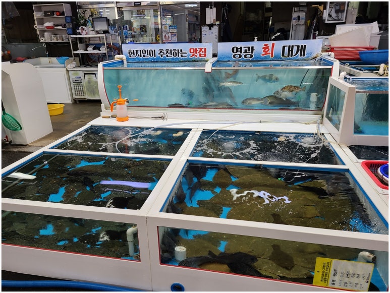 포항회대게 이미지