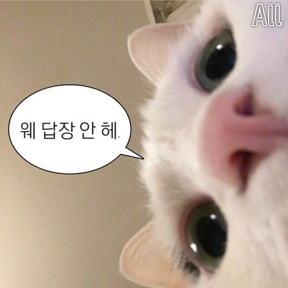 교동십원빵 이미지