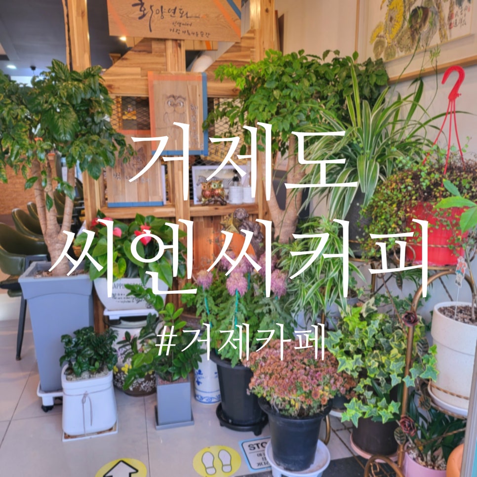 카페씨엔씨 이미지