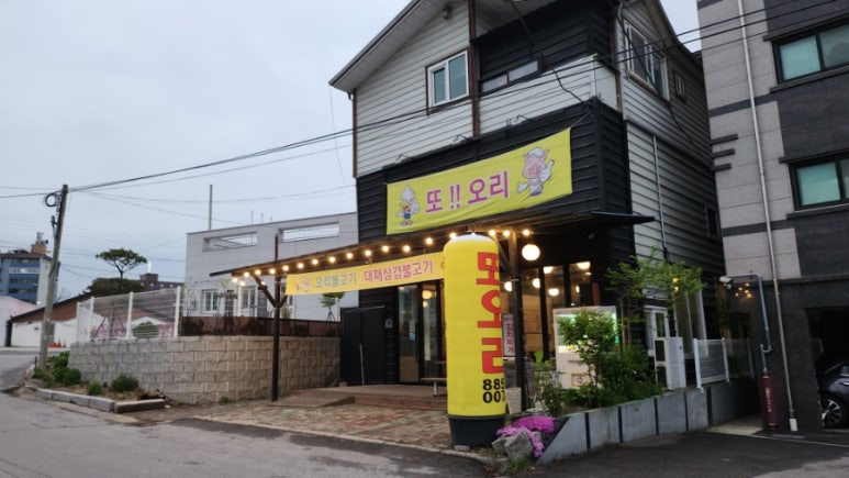 또오리마트 이미지