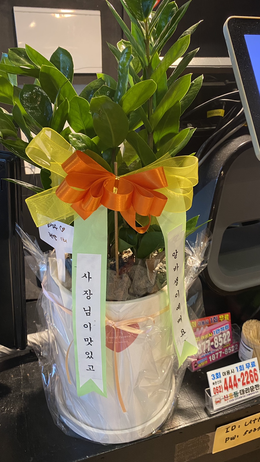 승주호프 이미지