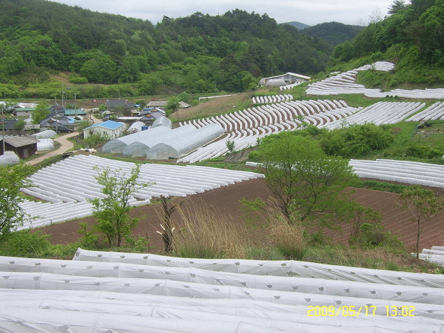 우천재 이미지
