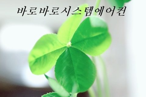 흥해가스 이미지