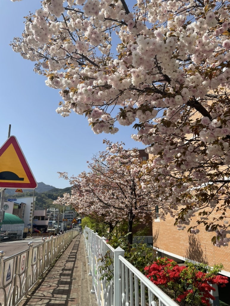 심심브레드 이미지