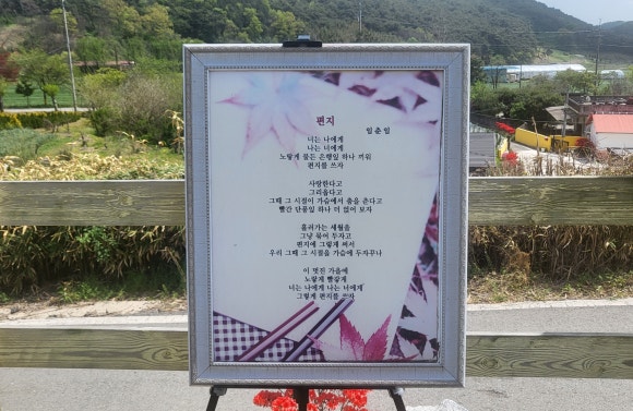 노란담장 이미지