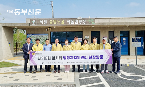 금빛인력 이미지